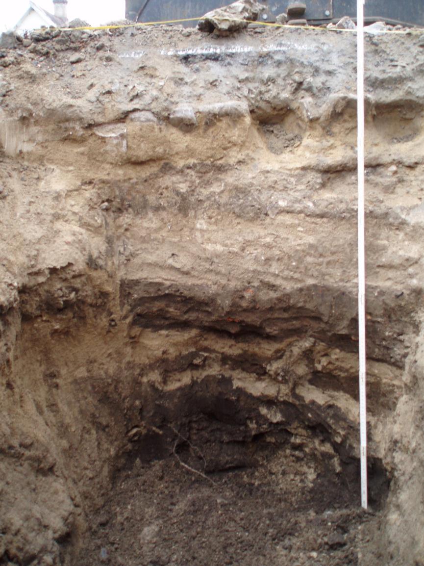 Fig. 4. Schaktets västra sektion. Lager 6 bestod av gråbrun lerig silt och hade inslag av tegelflis och träkol.