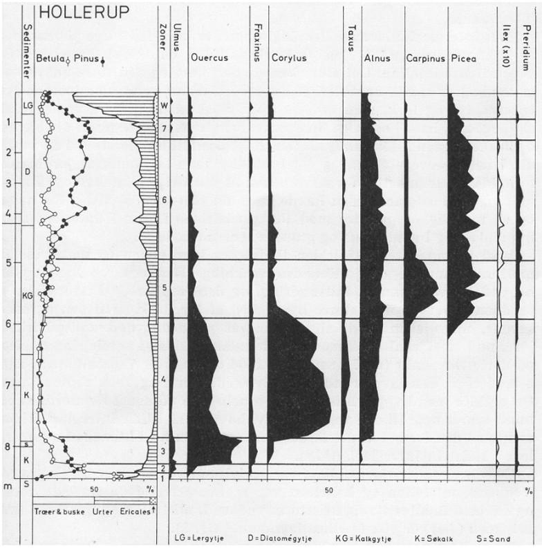 Appendix 2 Pollendiagram som representerar