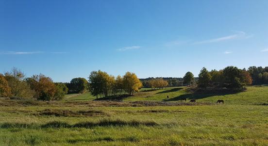 Vägplan samrådshandling, val av lokaliseringsalternativ 2017-09-11 omväxlande utblickar.