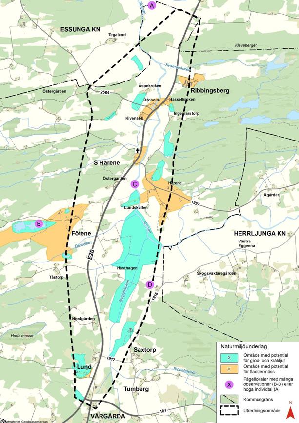 Vägplan samrådshandling, val av lokaliseringsalternativ 2017-09-11 Den mest exklusiva häckfågeln är röd glada (lokal C).