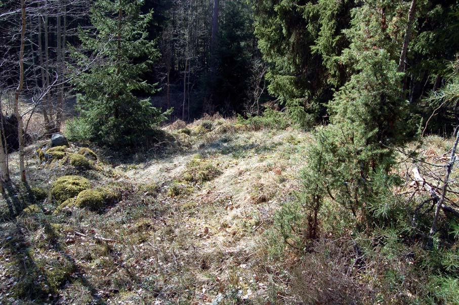 Figur 6. Torplämningen ÖLM 9 i form av en husgrund med spismursröse, från NÖ. Delar av syllstensgrunden kan ses i bildens vänstra och mellersta del.