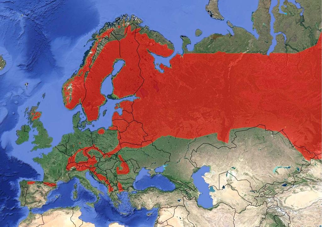 Figur 1. Den europeiska utbredningen av tjäder. Tjäderns utbredning i Europa visar på en splittrad förekomst i mellan- och sydeuropa.