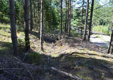I det högre partiet i norr består skogen av barrträd och i den nedre delen i söder är lövinslaget påtagligt. I norr, i direkt anslutning till området finns en f.d. grustäkt som håller på att återställas, detta planeras ha upphört senast 2019.