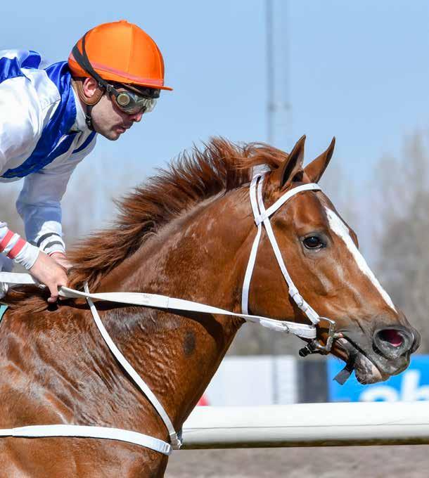 DERBYBANAN JÄGERSRO NR 4 ONSDAG 8 MAJ 2019