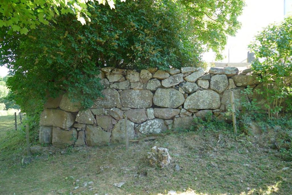 Med åren expanderade växtligheten och bidrog till att muren sköts ur sitt läge.