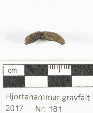 Konserveringsrapport MJ Rapport id: K17-162 Ort/Anläggning: Hjortahammar gravfält, Färkärla sn, Ronneby, 2017 Fynd nr: Kons nr: 181 Kontaktperson: Mikael Henriksson, Blekinge Museum Datum in: