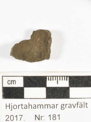 Material: Cu-legering Antal: 1 Mått: Vikt in: 3,42g Vikt ut: 3,38g Foto: Ja Behandling: Fragmentets ytor täcks av föroreningar och något mindre inslag av koppar(ii)klorid noteras.