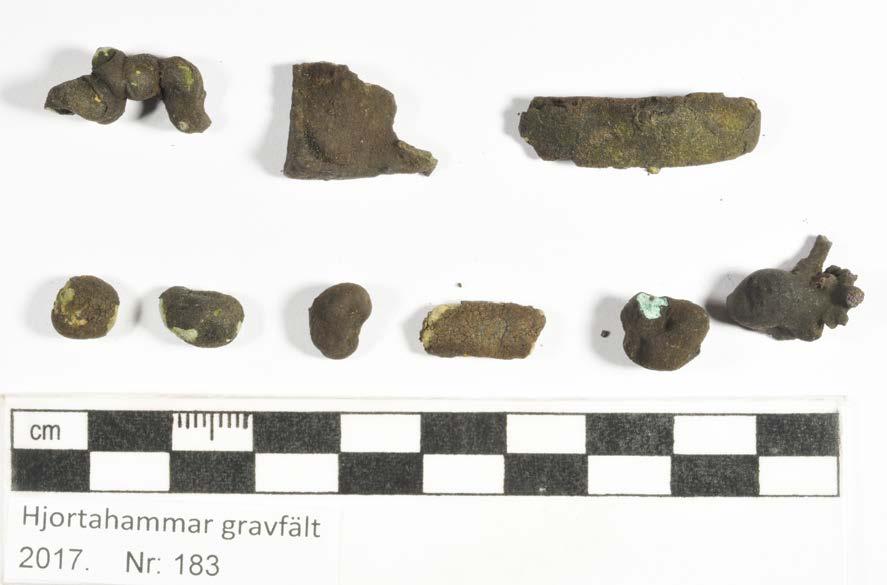 Konserveringsrapport MJ Rapport id: K17-162 Ort/Anläggning: Hjortahammar gravfält, Färkärla sn, Ronneby, 2017 Fynd nr: Kons nr: 183 Kontaktperson: Mikael Henriksson, Blekinge Museum Datum in: