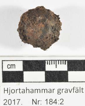 Konserveringsrapport MJ Rapport id: K17-162 Ort/Anläggning: Hjortahammar gravfält, Färkärla sn, Ronneby, 2017 Fynd nr: Kons nr: 184:2 Kontaktperson: Mikael Henriksson, Blekinge Museum Datum in:
