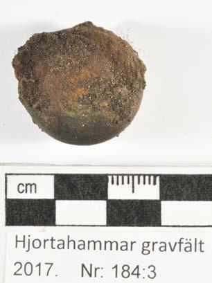 Konserveringsrapport MJ Rapport id: K17-162 Ort/Anläggning: Hjortahammar gravfält, Färkärla sn, Ronneby, 2017 Fynd nr: Kons nr: 184:3 Kontaktperson: Mikael Henriksson, Blekinge Museum Datum in: