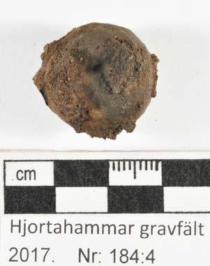 Konserveringsrapport MJ Rapport id: K17-162 Ort/Anläggning: Hjortahammar gravfält, Färkärla sn, Ronneby, 2017 Fynd nr: Kons nr: 184:4 Kontaktperson: Mikael Henriksson, Blekinge Museum Datum in: