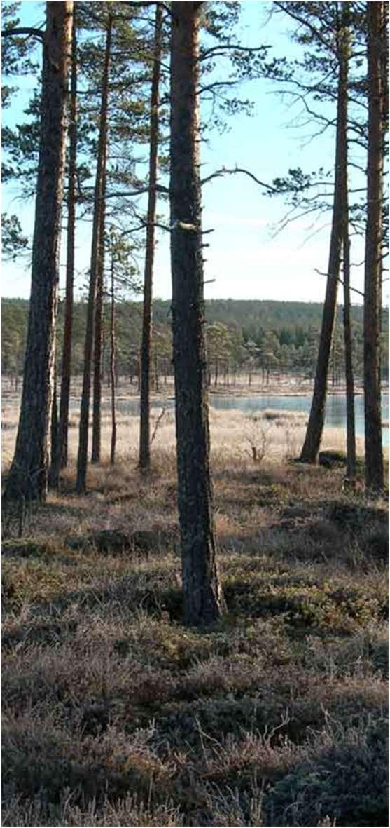 Vad kan vara syftet med ett naturreservat? Ett naturreservat kan enligt 7 kap.