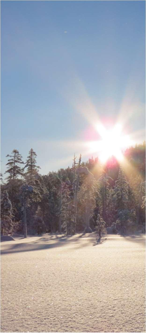 Hur syftet ska uppnås Övergripande förvaltningsinriktning för att nå/tillgodose syftet med naturreservatet Viktigt!