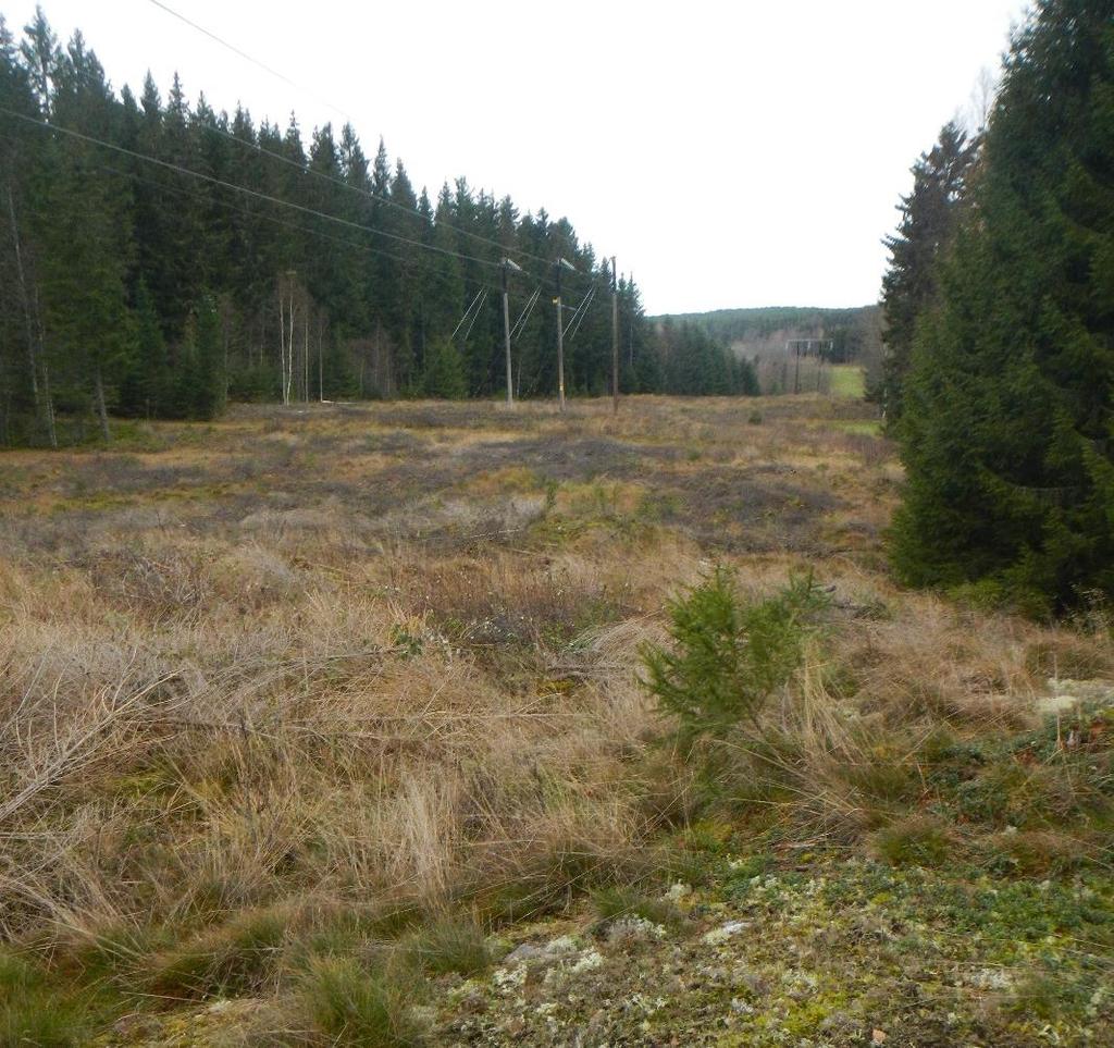 Figur 12. Bild tagen mot nordväst från väg 615 mot Holmedal 151:1. Skadeförebyggande åtgärder: I samband med underhållsåtgärder ska stor försiktighet iakttas. Körning över kulturlämningar får ej ske.