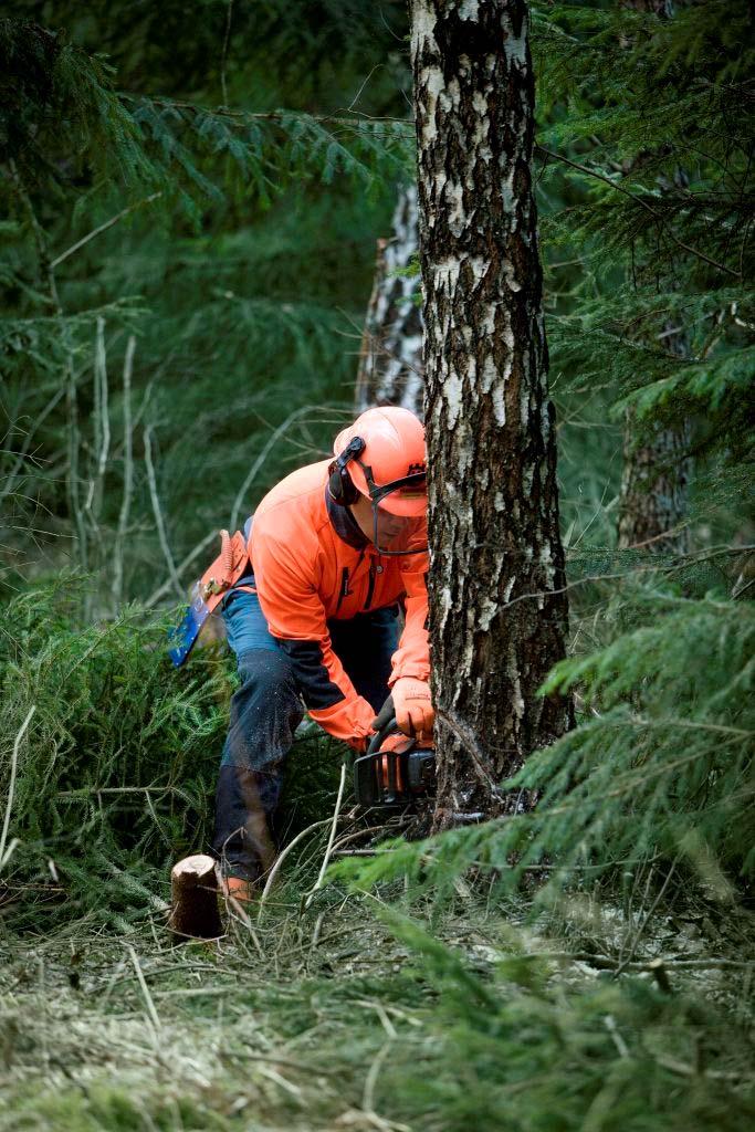 Skog och lantbruk 10 000 nya kunder sedan april 2008 Var 19:e Handelsbankskund i Sverige äger en skog och lantbruksfastighet Utlåning +10%