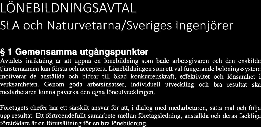 Genom goda arbetsinsatser, individuell utveckling och bra resultat ska medarbetaren kunna påverka den egna löneutvecklingen.