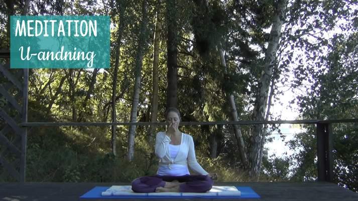 13. Meditation - Brahmari Sitt i lätt meditationsställning eller på en stol med ryggen rak. Bli medveten om din naturliga andning.