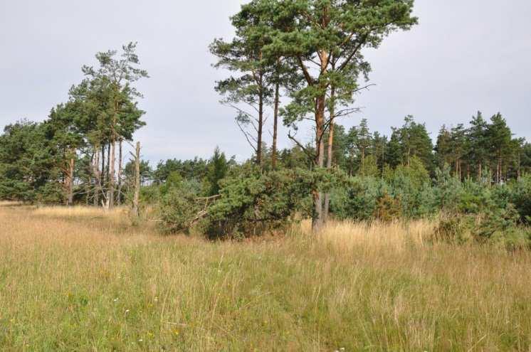 Ladugård Bod Tallskog Åker Om Skog & Lantbruk Skog & Lantbruk är ett