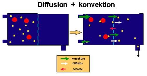 Dialysatlösningen pumpas genom vätskesidan av filtret. På samma gång kontrollerar avflö-despumpen ultrafiltrationen och ersättningsvätskan som tillförs till Prismaflex-setets blodbana.