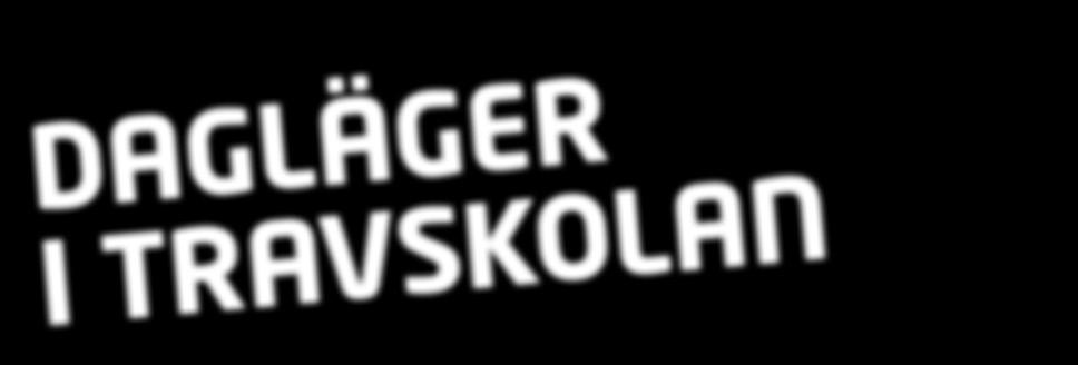 Det lir pyssel i stallet, hästaktiviteter, körning och