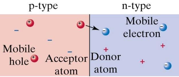 pn-övergång De fria laddningarna