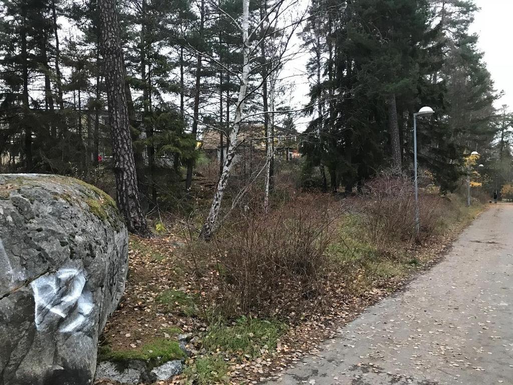 Figur 2: Foto som visar gc-vägen väster om Björnmossevägen. Foto taget mot norr.