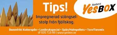 Ke Ös 0/- /0,g cc 0' GULDSKIMRA 0: 0, AM Tot: 0--.0,br.s.e Skaffer Brunen - : 0-0-0,.00 : 0-0-,a. Lillcaksa e Järvsöfaks Sun Åk G /- /0, cc 0' Uppf.