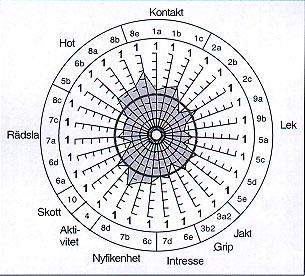 Mentalbeskrivning av 126 American staffordshire terrier Mycket glada för kontakt Leker och