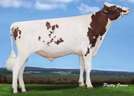 HOLSTEIN - GENOMAX HEMINGWAY FORTUNE x JEDI x HALOGEN 92704 9-7876 231 BB 320 / 288 / NEJ +2800 JACKPOT-PP-RED CASUAL *RC x MARDI GRAS x LADD-P RED 92446 9-7755 423 AA 230 / 207 / 420 +2378 McCutchen