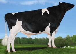 HOLSTEIN - DOTTERPRÖVAT / GENOMAX UNIX NUMERO UNO x DOMAIN x GOLDWYN 92197 9-7683 324 BE 340 / 306 / 540 +2377 ALCOVE DUKE x MVP x EPIC 92594 9-7795 432 AA 290 / 261 / 440 +2796 McCutchen Mogul