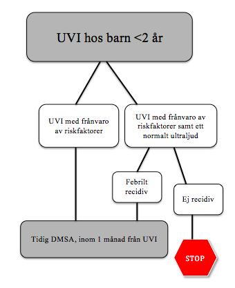 UVI med riskfaktorer Figur 3. Protokoll vid utredning av pyelonefrit hos barn <2 år (14). Vid nuklearmedicinska undersökningar är gammakameran det mest använda instrumentet.