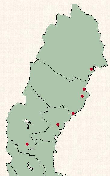 En modersläktgren inom H1* som dyker upp i Norrland varav åtminstone två medlemmar har ett inom historisk tid identifierat samband H1 är den största av undergrupperna till huvudgruppen H (med 30 % av