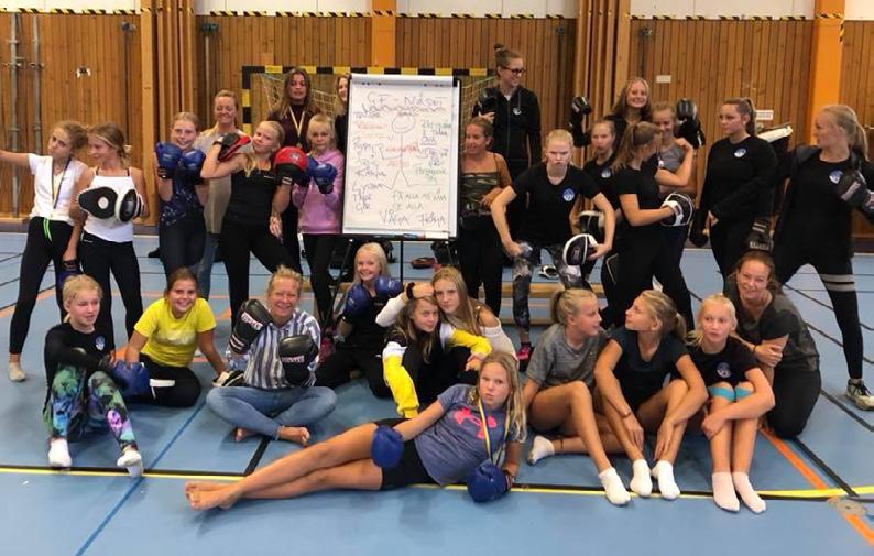 Sportakademien Vellinge & Höllviken är en