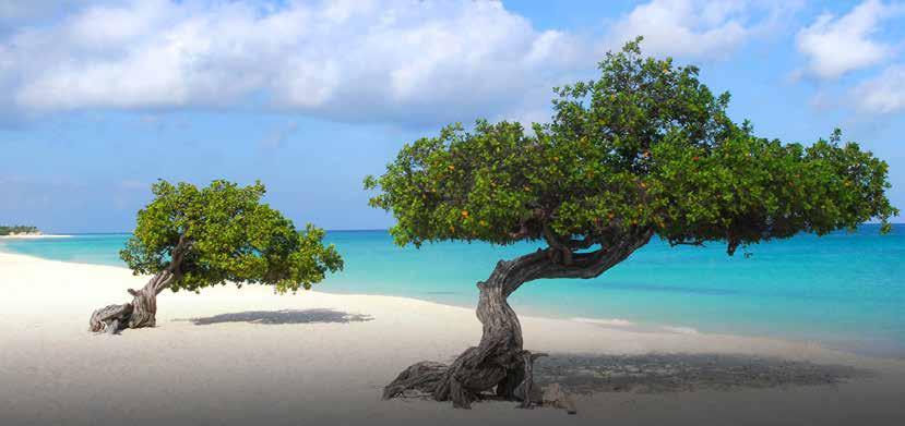 Club Eriks noga utvalda upplevelser Exotisk kryssning i Södra Karibien med Celebrity Silhouette Florida Aruba Curacao Bonaire Grand Cayman Fly vinterns mörker & snörusk för