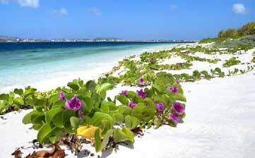 Dag 7 19 feb Kralendijk, Bonaire Precis norr om Venezuelas karibiska kust ligger Bonaire, ofta benämnd med sina grannar Curacao och Aruba som en av ABC-öarna.