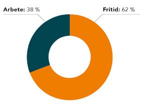 . Flest dödsolyckor sker på fritiden Under perioden 000 0 har merparten av dödsolyckorna hänt på fritiden. Figur. Elolyckor med dödlig utgång 000 0, fördelade på aktivitet.