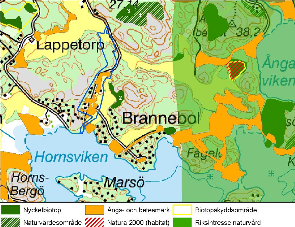 Figur 5 Naturvärden i Brannebol med omnejd, ängs- och betesmark enligt inventering 2003.