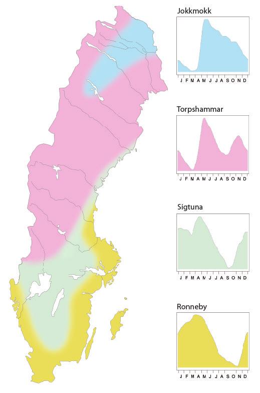 Grundvattennivåer i