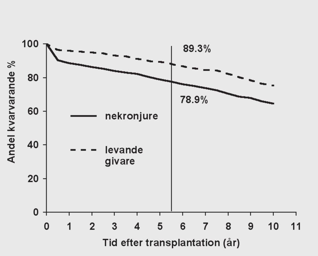 andra graft. Fig 23.