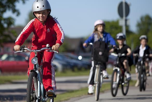 Kartläggning av kommuners