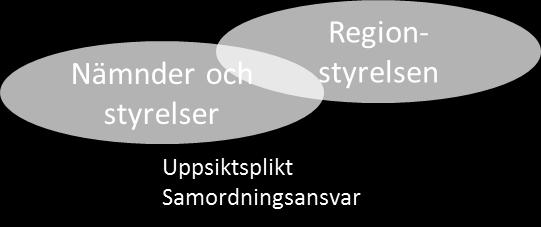 Regionfullmäktige beslutar om reglementen för nämnders/styrelsers verksamhet och arbetsformer. I reglementen fördelas och förtydligas ansvar och förutsättningar.