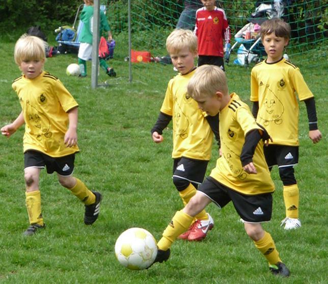 Fotbollsskolan BFF:s Fotbollsskola hade redan tidigare visat en positiv utveckling.