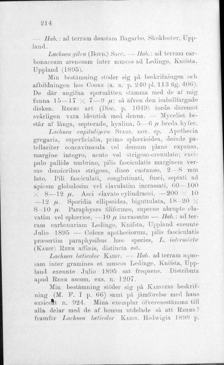 214 Haft.: ad terram deustam Bagarbo, Skokloster, Opplaud. Laehneagilm (Bom) SAOC. - //«?'.: ad terrain carbonaceam arenosam inter museos ad Ledinge, Cnifsfca. Uppland (1895).