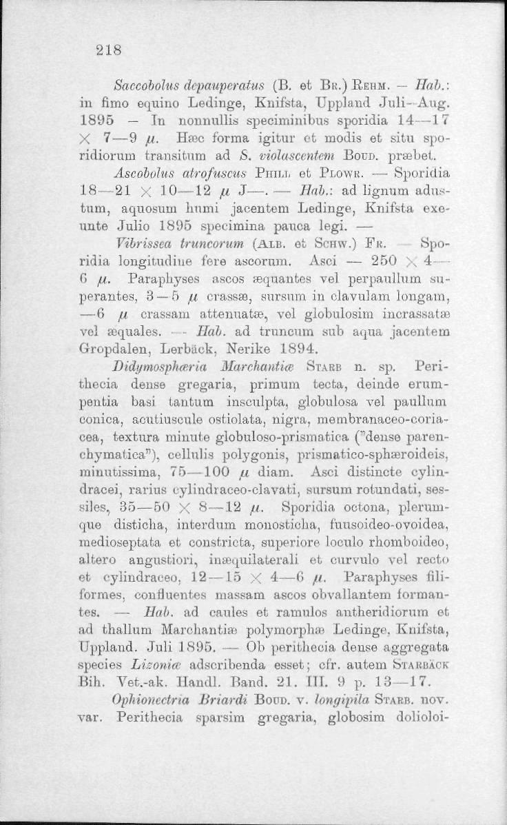 218 Saccobolus dcpaupcratus (B. et BK.)REHM. Hal.: in fimo equino Ledinge, Knifsta, Uppland Juli- Ang. 1895 In nommllis speciminibus sporidia 14 17 X 7 9 it.