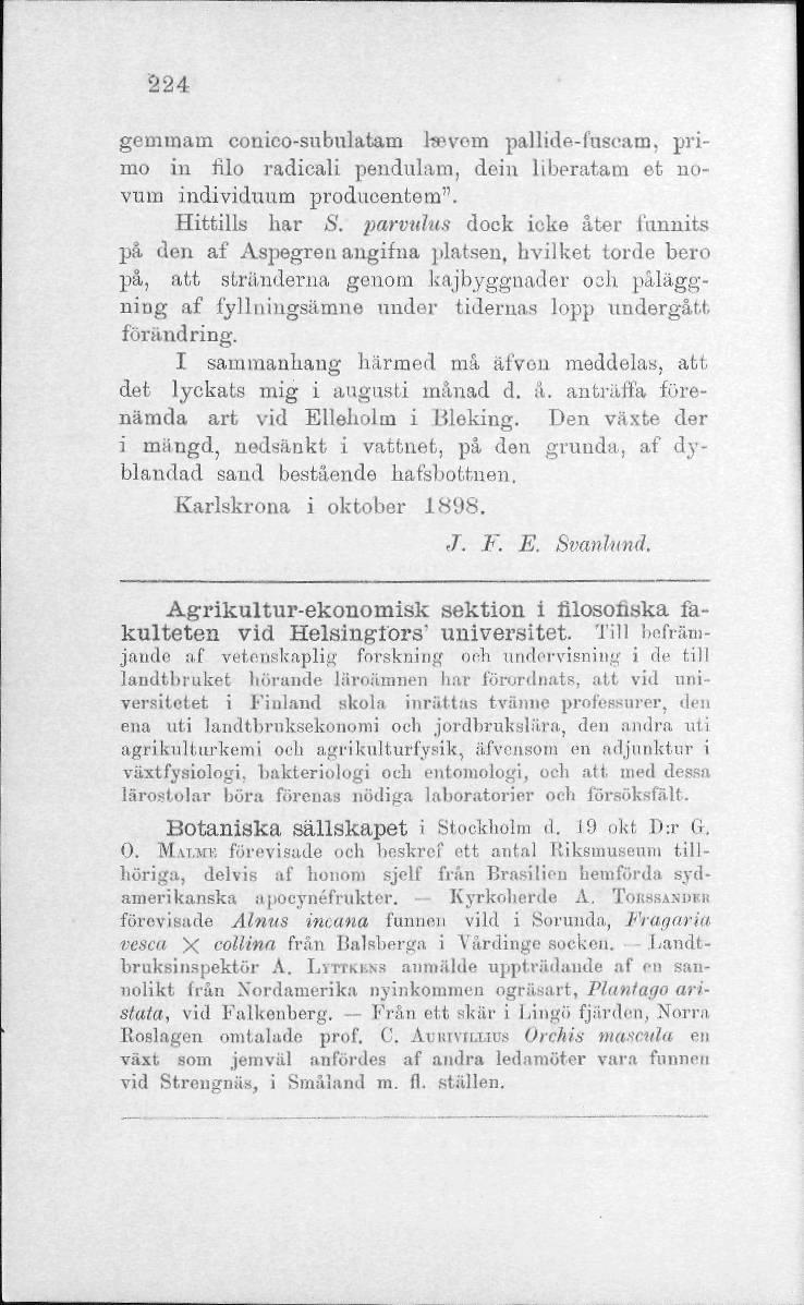 224 gemmain conico-subulatam ltevom pallide-fuseam, prime) in rllo radicali pendulam, dein liberatam et novum individvmm produoentem". Hittills har S.