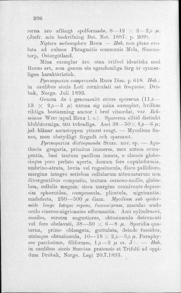 206 ror na iiro aflangfc spolformade, 8 12 '2 2,5 /i. (Jmfr. min beskrifning Bot. Not. 1887. p. 209). Niptera melanopluea RKHM llab.