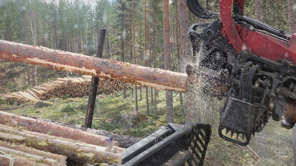 Vertical integration in forestry services