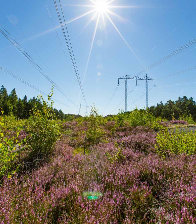 UNDERLAG FÖR SAMRÅD APRIL 2018 220 kv LEDNING MELLAN LÅNGBJÖRN OCH TARSELE Underlag