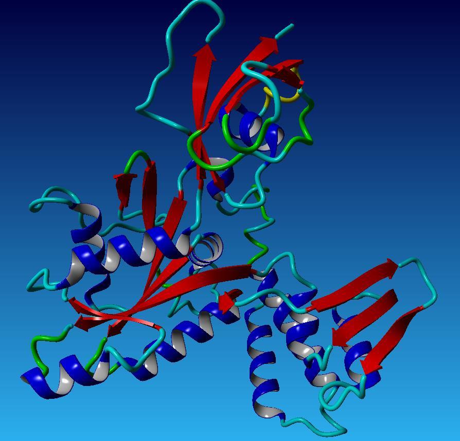 Developmentally regulated GTP-binding protein 2 ameliorates
