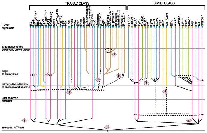 Ygr210, NOG1 J. Mol. Biol.